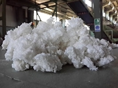 Statement on WTO decision regarding China’s anti-dumping duties on Canadian dissolving pulp