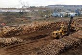In Canadian lumber town, real fears over a trade war with Trump