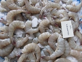 No relief for Indian shrimp exporters, US says anti-dumping duty to continue