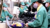 VCA to hold public consultation on anti-dumping duties