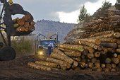 Canada Unveils $650 Million Lumber Industry 'Bailout' "To Stand Up To US"