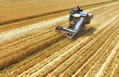 Export Subsidies in the Spotlight at WTO Agriculture Committee Meeting