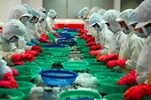 Shrimp exporters told to improve methods