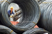 Govt may impose countervailing duty on certain steel products