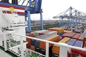 BRICS should safeguard trade rules: official