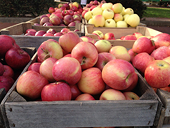 Washington’s agricultural industry weighs in on second round of NAFTA reworks