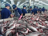 US raises anti-dumping duties on Vietnam’s frozen catfish fillets