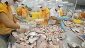 VASEP opposes US tariff on Vietnamese frozen Tra fish fillets