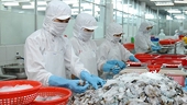 Seafood export likely to move from far to near markets