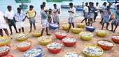 WTO: Fishermen groups warn govt against accepting subsidy cuts