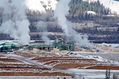 U.S. Softwood lumber duties confirmed