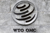 WTO meet: India deeply disappointed with US' refusal to back solution for food security
