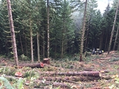 Canada strongly resists final US softwood lumber duties
