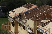 Canada calls for stop to U.S. softwood-lumber duties