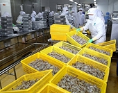 Vietnam’s seafood exports hit record high in 2017