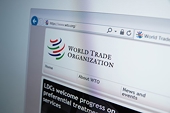 WTO Petition Against US Tariffs Offers Little Comfort to South Korean Companies