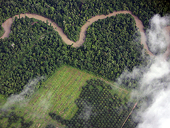 WTO rules against EU ‘anti-dumping’ duties on Indonesian biofuel
