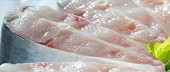 Vietnam files WTO complaint on US pangasius inspections