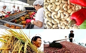 US tax reform to have adverse effects on seafood, garment, footwear sectors