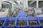 Vietnam claiming US made "mistake" in antidumping duty review on shrimp