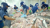 US antidumping duties on Vietnam’s frozen fish fillets unfair: Ministry