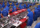 US’s antidumping duty ruling lacks legal basis: VASEP