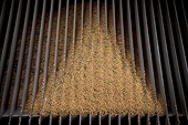 China newspaper calls for curbs against US soya bean 'dumping'