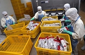 Shrimp surplus stresses sellers