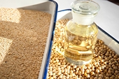 U.S.-China trade fears halt soybean imports