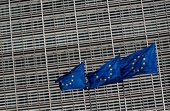 China: EU duties on Chinese steel ropes, cables "not rational": MOC