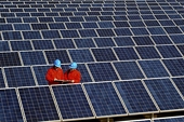 EU looks into extending import controls on Chinese solar panels