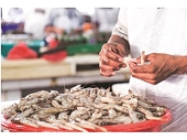 Vietnam's loss is India's gain as US regulates illegal shrimp imports