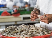 US: Commerce Ministry readjusts orders antidumping duty on Indian shrimp