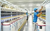 VN businesses need to learn how to deal with anti-dumping lawsuits: experts