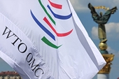 Ukraine files appeal against WTO decision in dispute with Russia about duties on fertilizers