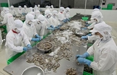 US Court of Appeals upholds anti-dumping duties on shrimp from Vietnam