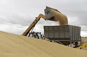 China begins anti-dumping probe into Aussie barley as tensions simmer