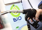 EU Proposes Restoring Anti-Subsidy Duties on Argentine Biodiesel - Document