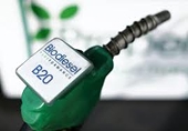 Argentina takes Peru to WTO in biodiesel row