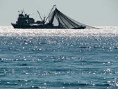 Philippines looking forward to WTO agreement against fishing subsidies