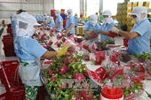 Vietnam, India seek ways to remove obstacles to trade ties
