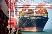China delays release of phenol ADD probe prelim results to March