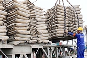 Philippines imposes provisional safeguard measures on cement imported from Việt Nam
