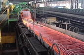 Conference on  “Assessing & Managing The Risk Of  Antidumping/CVD Actions Against Vietnamese Steel Products”