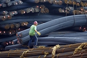 Brazil seeks retaliation over EU curb on steel imports