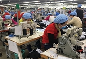 Garment, fishery firms plan production growth this year