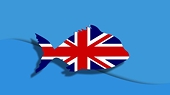 Brexit Briefing: The Impact of Brexit on Trade Remedies (Anti-Dumping, Anti-Subsidy, Safeguard) in the UK