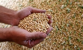 Donald Trump asks China to abolish tariffs on US farm produce