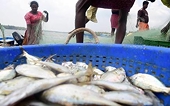 WTO: India insists on flexibilities in negotiations on fisheries subsidies