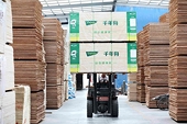 US launches anti-dumping probe on wooden cabinets imported from China
